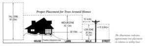 Tree placement Around Home