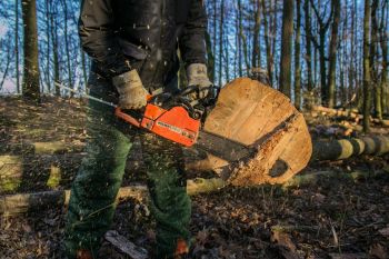 Tree Remove / Tree Cutters Norcross GA