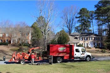 Tree Service in Peachtree Corners GA