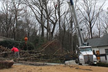 Crane Tree Services in Peachtree Corners GA