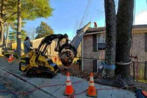 Emergency Tree Services in Duluth GA