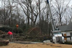 Crane Tree Services in Suwanee GA