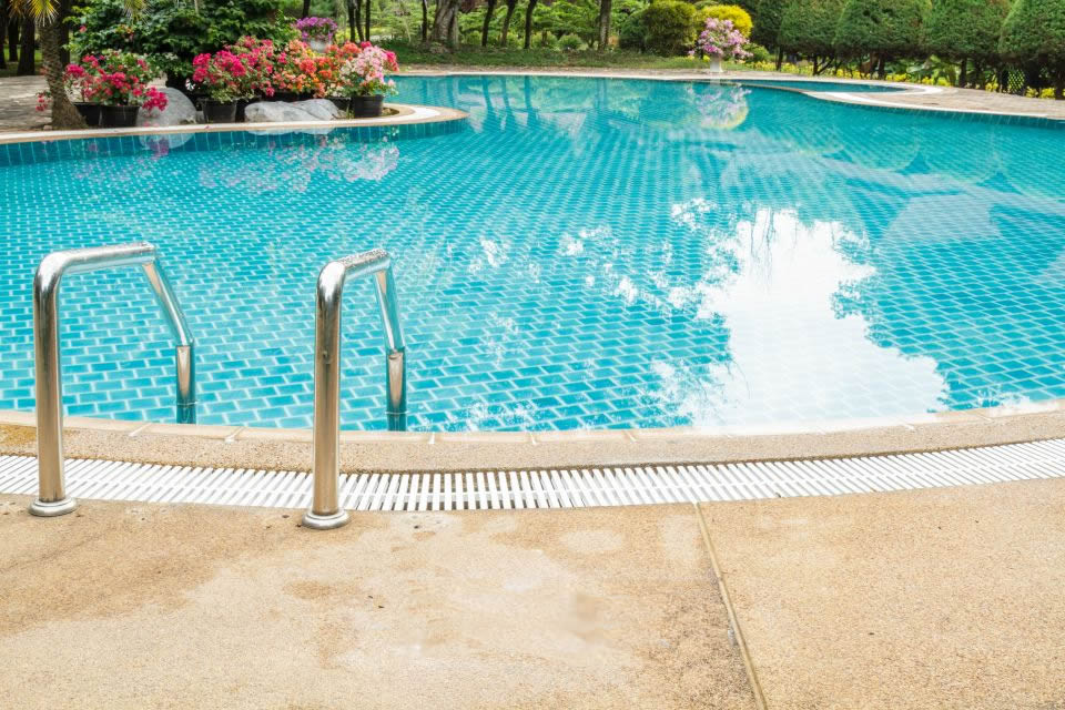 What are the worst trees to plant near a pool?