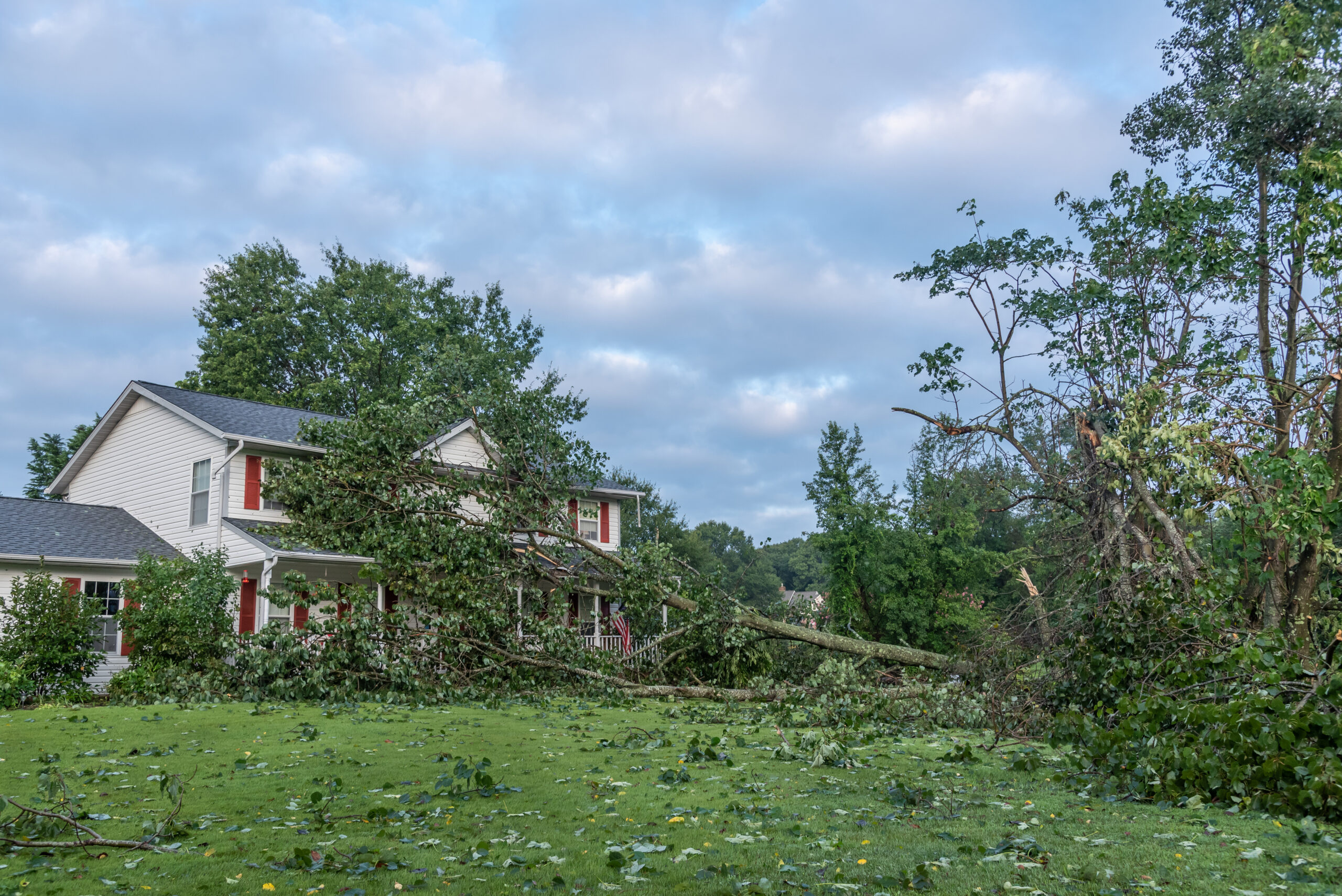 Image of a tree fallen on a house, illustrating the need for reliable tree services from Northside Tree Professionals