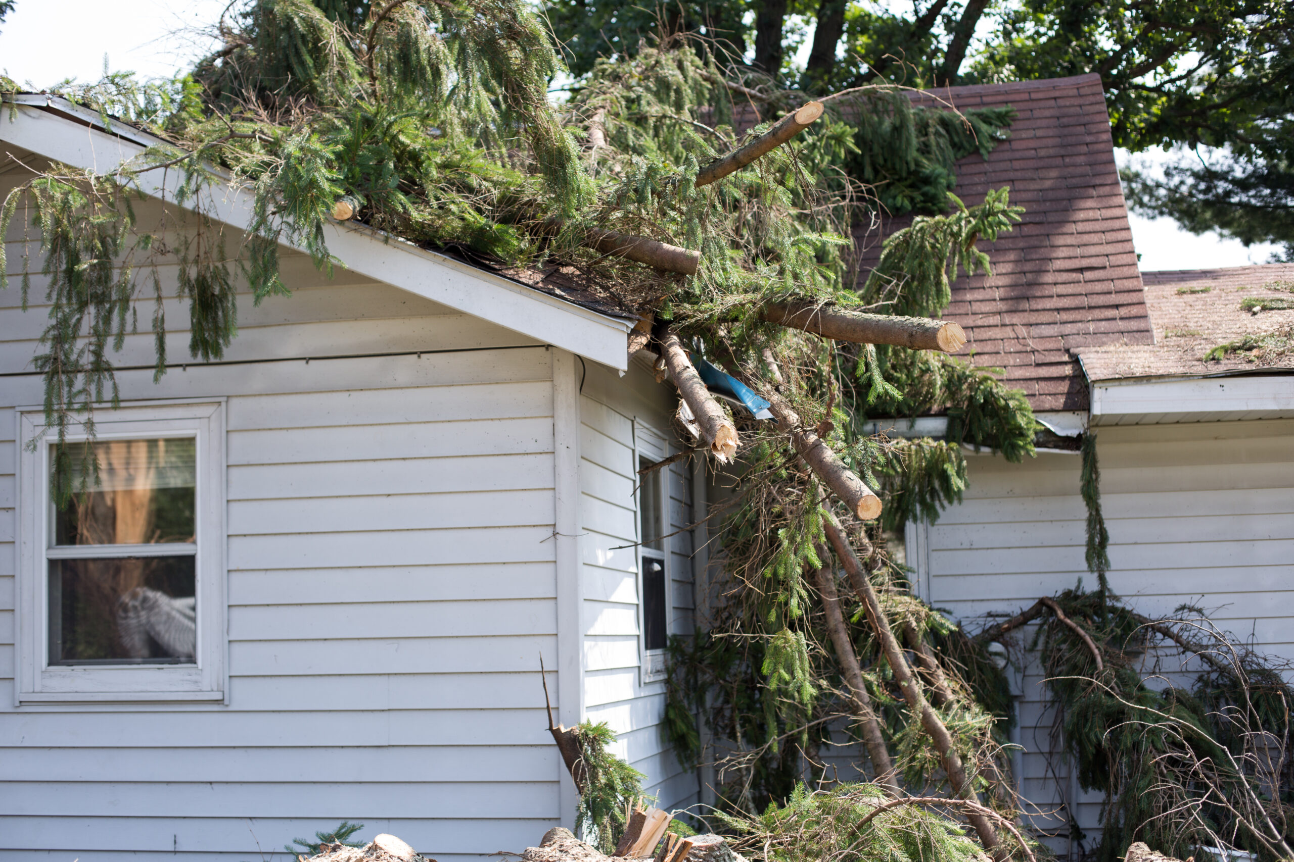 Home,Insurance.,Insurance,Storm.storm,Damage.roof,Damage,From,Tree,That,Fell