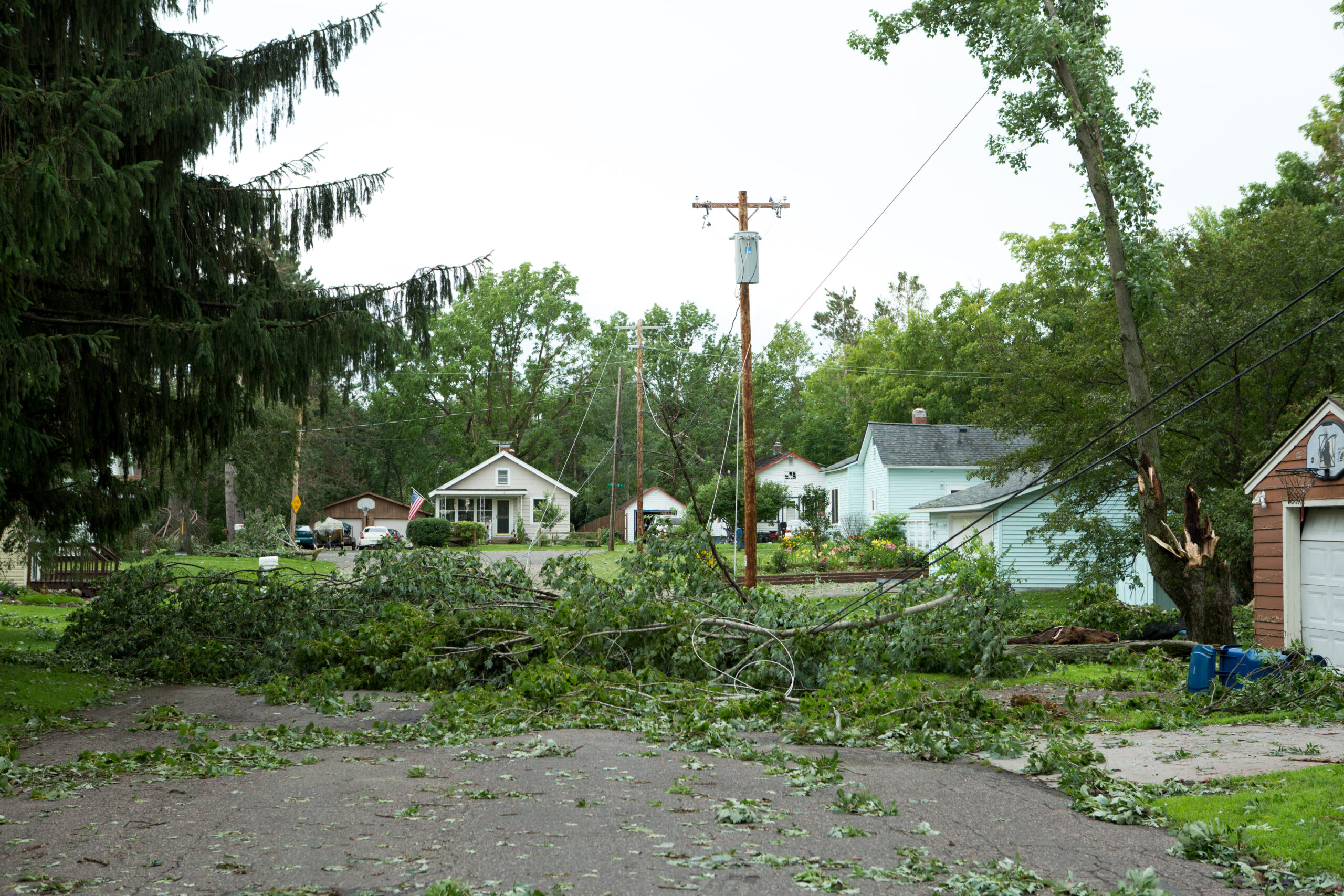Storm-damaged tree fallen across a road, symbolizing the need for urgent removal services from Northside Tree Professionals