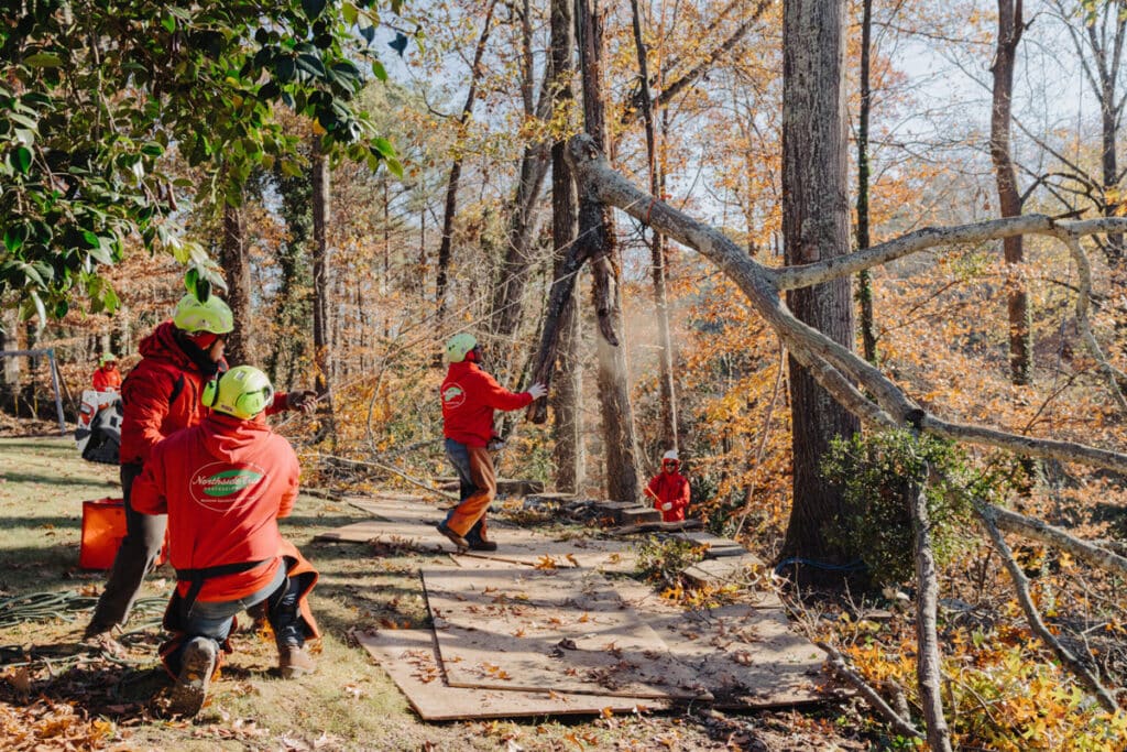 Tree removal process by Northside Tree Professionals, safely cutting down a damaged tree near a residential area to protect property and ensure safety.