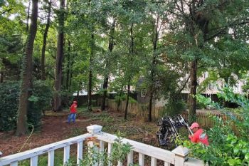 Two workers in red shirts are clearing branches and debris in a wooded backyard area near a white fence, with tall trees and a house visible in the background.