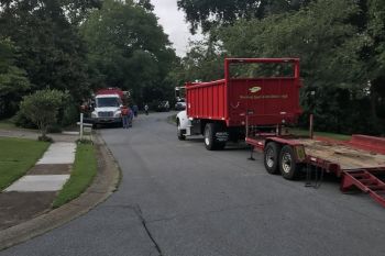 Tree Service in Tree Service in Powder Springs