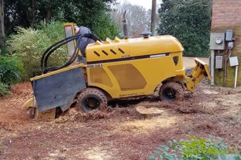 Stump Grinding Austell GA
