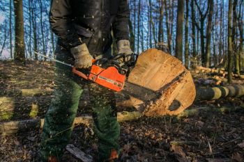 Tree Service Norcross GA