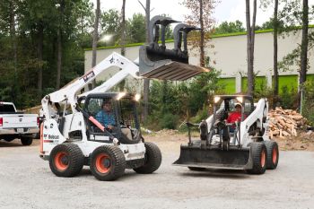 Tree Removal / Tree Cutter Atlanta GA | Tree Service Atlanta | Tree Removal Atlanta