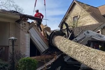 A large tree has fallen onto the roof of a house, causing significant damage. A worker in safety gear stands on the damaged roof while heavy machinery lifts sections of the fallen tree with a crane.