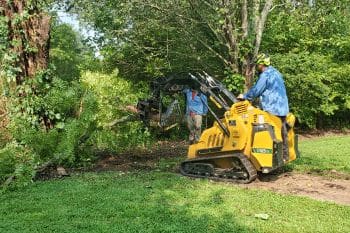 A person operates a small yellow skid steer loader with an attachment, clearing tree branches and brush in a grassy, tree-filled yard. Another person stands nearby, observing the work.