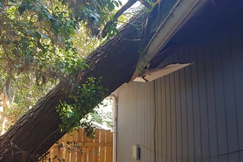 Emergency Tree Services in Atlanta GA | Tree Service Atlanta | Tree Removal Atlanta