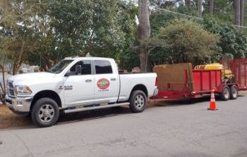 Stump Grinding Sandy Springs GA