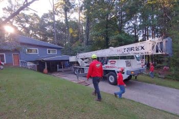 Crane Tree Removal AustellGA