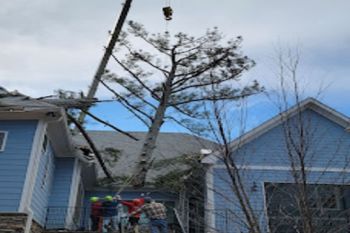 A large tree leans against the roof of a blue house, with a crane lifting it. Three people wearing safety gear stand on a balcony below, working to remove the tree.