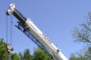 Tree Cutters Milton Georgia, Tree Trimming Milton Georgia