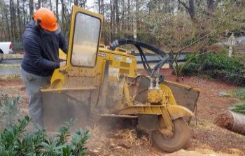 Stump Grinding Alpharetta GA