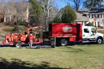 Arborist in Avondale Estates GA