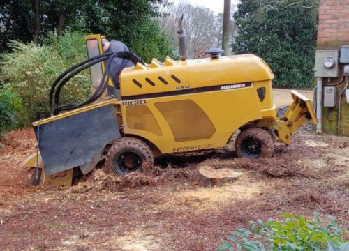 A yellow stump grinding machine is parked on a patch of mulch and wood chips in a yard, with its front blade raised and a tree stump partially ground beneath it. Trees and a brick wall with utility meters are in the background.