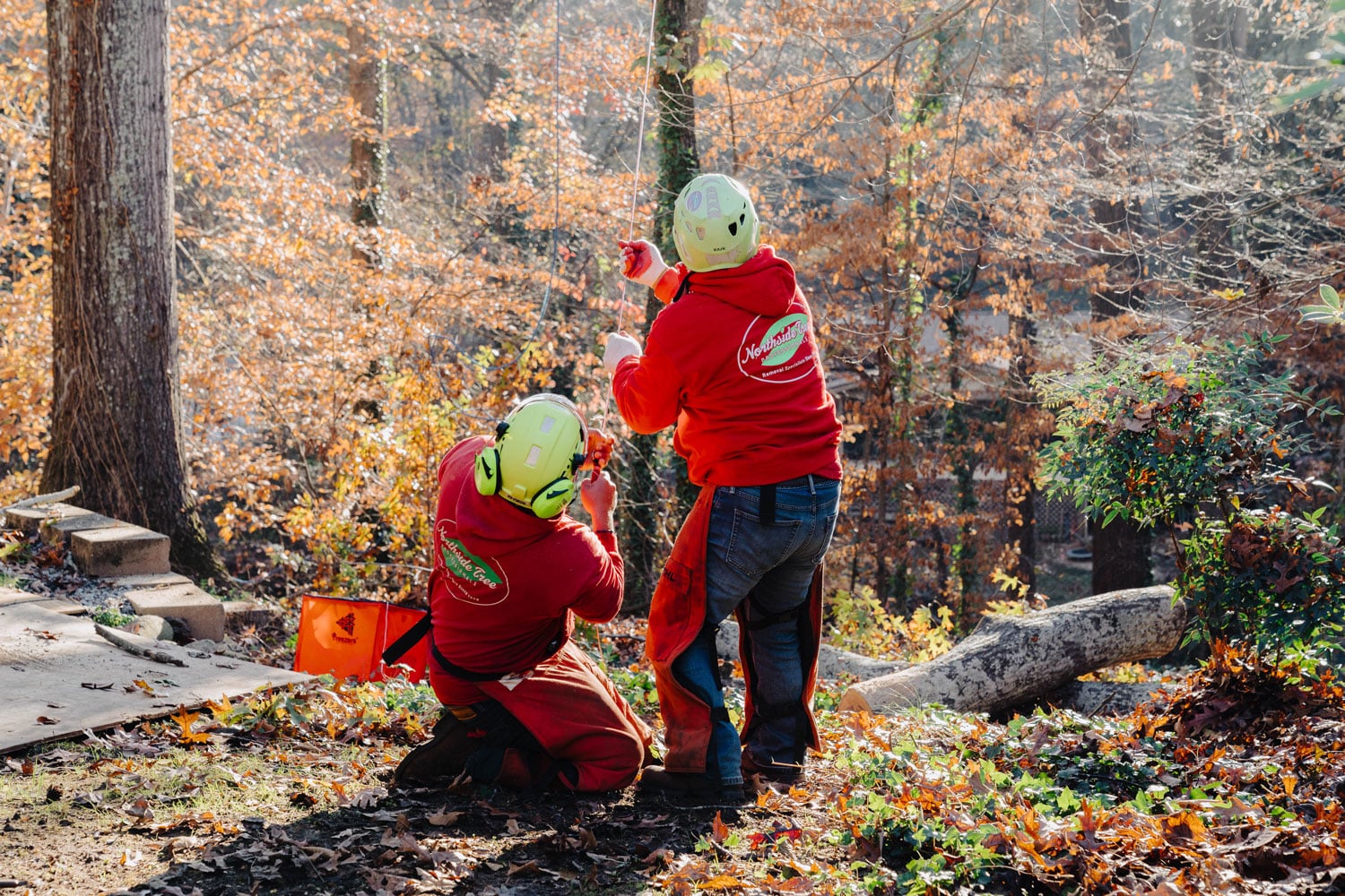 Emergency Tree Removal: Why Atlanta Homeowners Trust Northside Tree ...
