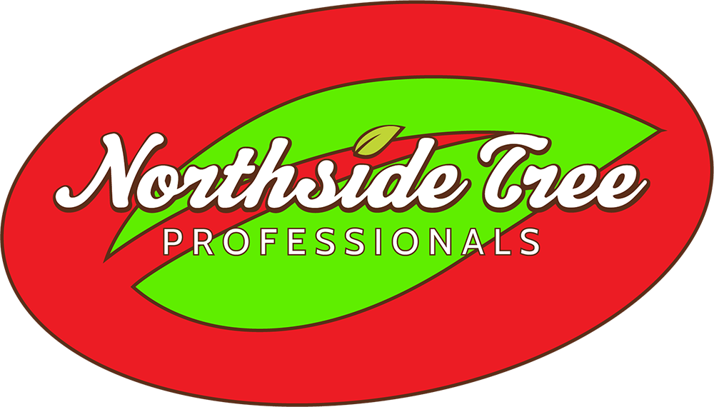 Logo with a red oval background and a green leaf shape inside. The text Northside Tree is written in white script, and PROFESSIONALS is in capital white letters below.