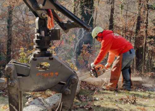 A person in safety gear uses a chainsaw to cut a log outdoors, with a large mechanical claw visible in the foreground. Autumn trees and fallen leaves surround the scene.