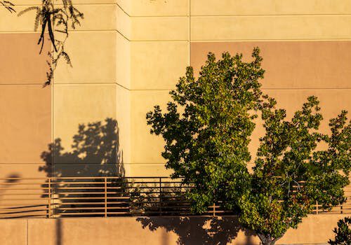 A green tree casts a shadow on a beige and tan building wall, with a metal railing and shadows of other branches visible in the sunlight.
