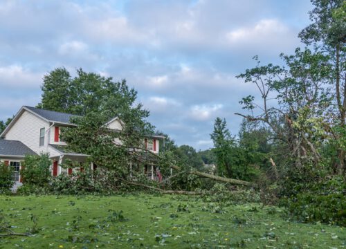 A large tree has fallen onto a white two-story house during a storm, with branches and debris scattered across the yard and lawn under a cloudy sky.