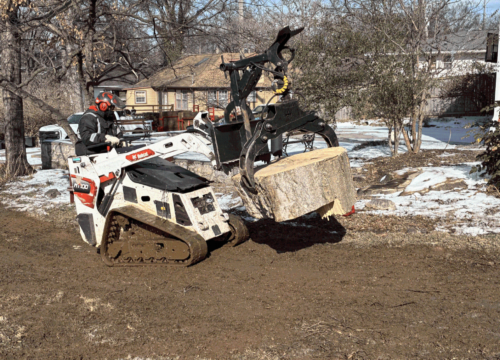 A person operating a small tracked loader uses a grapple attachment to lift a large tree stump in a yard with patches of snow and trees, with houses in the background.